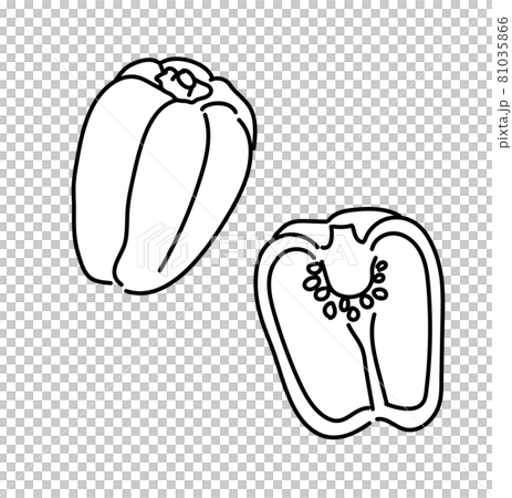 野菜 果菜類 イラスト 素材 モノクロ 白黒のイラスト素材