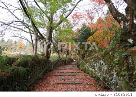 紅葉、滋賀県湖東三山百済寺 紅葉、滋賀県湖東三山百済寺 81035911