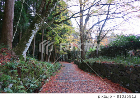 紅葉、滋賀県湖東三山百済寺 紅葉、滋賀県湖東三山百済寺 81035912