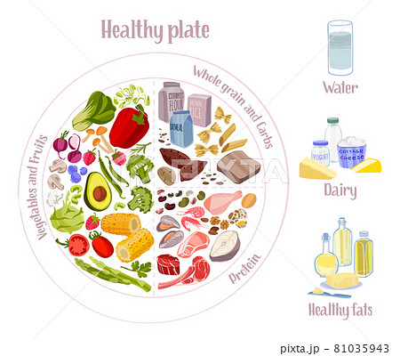 Rational diet infographics. Healthy eating plate concept. 81035943