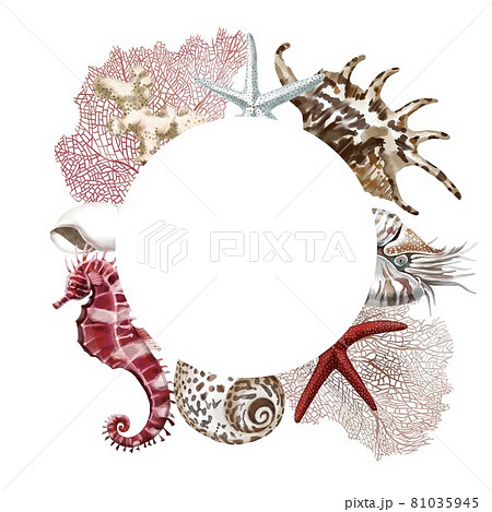 Watercolor underwater set- hand painted frame of oceanic shells, sea coral reef, seaweed. Undersea illustration perfect for fabric textile, prints, home interior, design, wedding cards 81035945