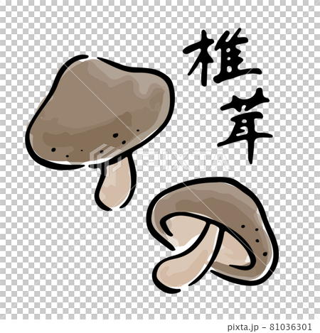 しいたけの和風水彩手描きベクターイラスト　筆文字セット 81036301