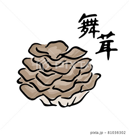 まいたけの和風水彩手描きベクターイラスト　筆文字セット 81036302