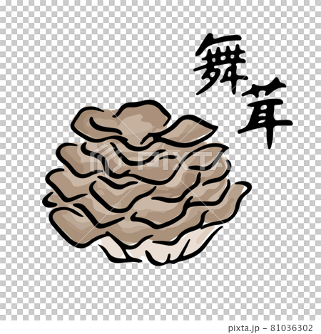 まいたけの和風水彩手描きベクターイラスト　筆文字セット 81036302