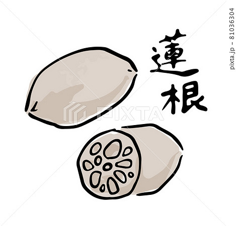 れんこんの和風水彩手描きベクターイラスト 筆文字セットのイラスト素材