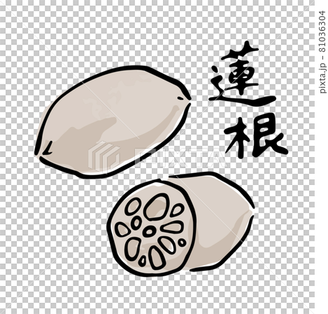 Lotus root Japanese style watercolor hand-painted vector illustration brush character set 81036304