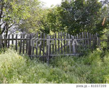 Beautiful old gate from abandoned house in village 81037209