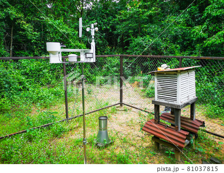 Rain Background Measurement and Analysis in the Forest Rain Background Measurement and Analysis in the Forest 81037815