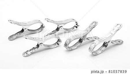 The stainless steel clamp is placed on a white background. The stainless steel clamp is placed on a white background. 81037839