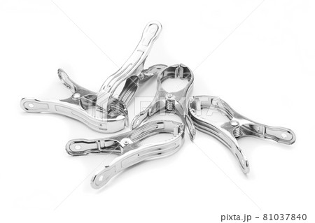 The stainless steel clamp is placed on a white background. 81037840