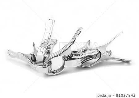 The stainless steel clamp is placed on a white background. 81037842