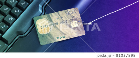 Internet fraud using computer technology, stealing money on the Internet, stealing credit card data. Fishing rod and hook 81037898