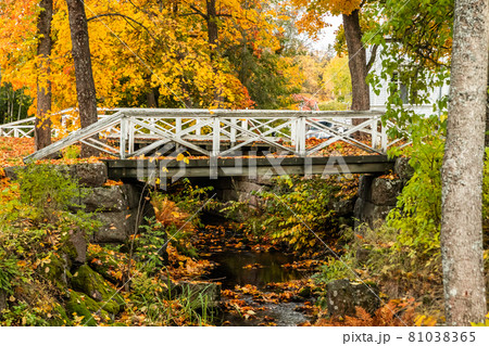 Old wooden bridge in misty autumn park in Finland 81038365