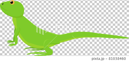 Cartoon bright green cute lizard that looks up Cartoon bright green cute lizard that looks up 81038460