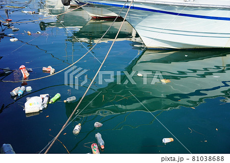 湾内に浮かぶゴミ 81038688