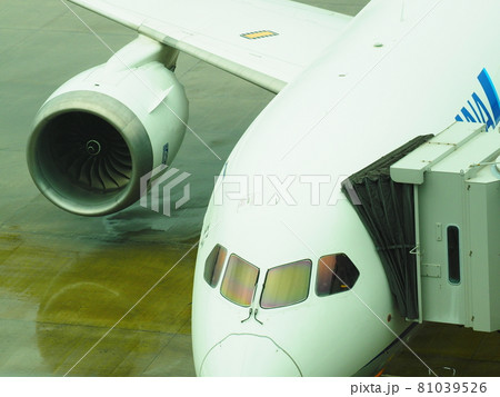 雨の羽田国際空港にて駐機中の飛行機 81039526