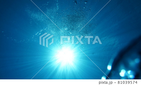 青い海 水面から差し込む光と泡 81039574