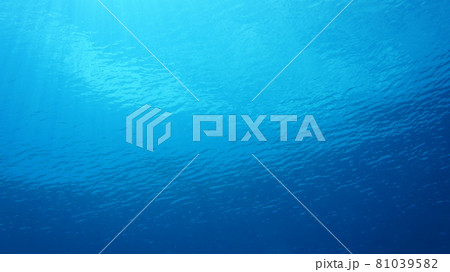 青い海 水面から差し込む光と泡 青い海 水面から差し込む光と泡 81039582