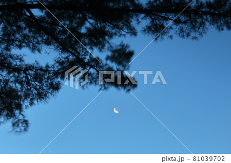 空 エーテル 大空 81039702