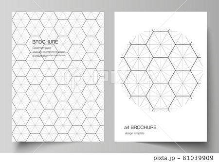 Vector layout of A4 format cover mockups design templates for brochure, flyer. Digital technology and big data concept with hexagons, connecting dots and lines, polygonal science medical background. Vector layout of A4 format cover mockups design templates for brochure, flyer. Digital technology and big data concept with hexagons, connecting dots and lines, polygonal science medical background. 81039909