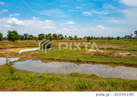 カンボジアの風景 カンボジアの風景 81040190