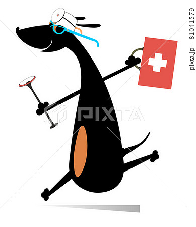 Smiling dog runs to render the medical aid illustration. Cartoon hurry dachshund a doctor with a doctor bag and endoscope isolated on white 81041579