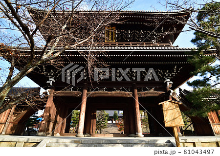 金戒光明寺の紅葉 金戒光明寺の紅葉 81043497