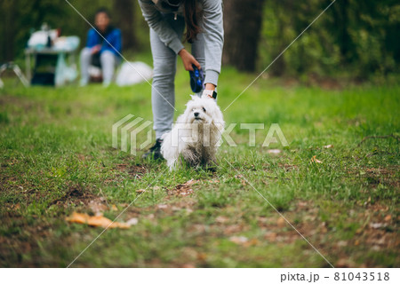 Beautiful woman with playful young dog Beautiful woman with playful young dog 81043518