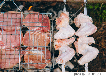 Grill season outdoor in park. Spring summer grilling. 81043519