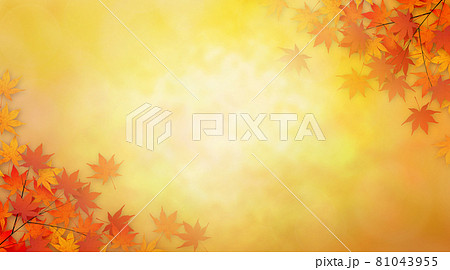 紅葉　背景素材 81043955