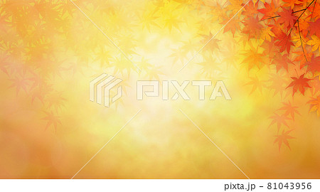 紅葉　背景素材 81043956