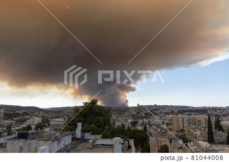 Jerusalem, Israel - August 15, 2021: Two israeli firemen putting an end to a forest fire near Jerusalem. 81044008