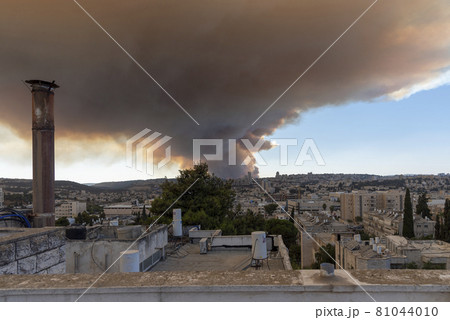 Jerusalem, Israel - August 15, 2021: Two israeli firemen putting an end to a forest fire near Jerusalem. 81044010
