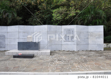 サイパン:ラストコマンドポスト サイパン:ラストコマンドポスト 81044011