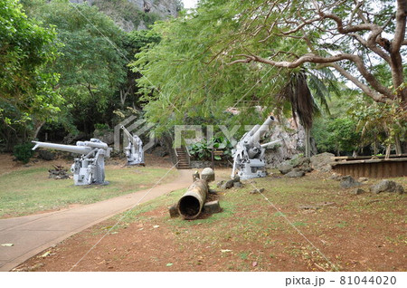 サイパン:ラストコマンドポスト サイパン:ラストコマンドポスト 81044020