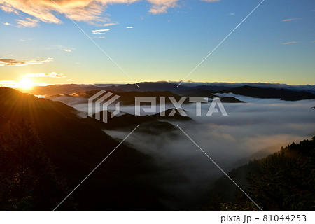 野迫川村の雲海 野迫川村の雲海 81044253