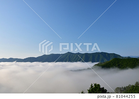野迫川村の雲海 81044255