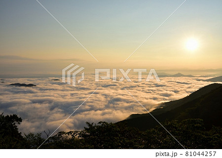野迫川村の雲海 81044257