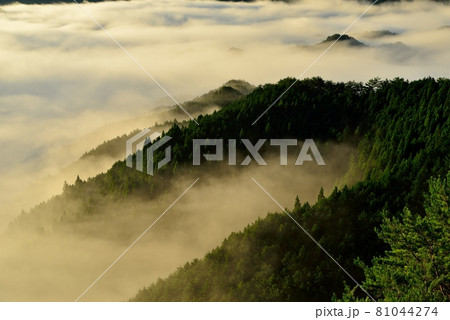 野迫川村の雲海 野迫川村の雲海 81044274