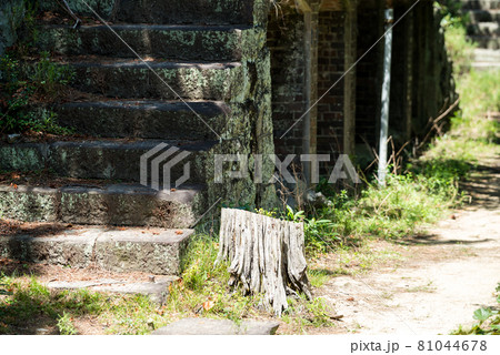 【友ヶ島】第五砲台跡 81044678