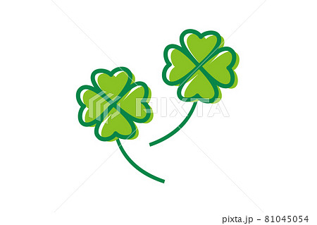 四つ葉のクローバー 81045054