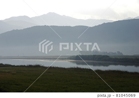 早朝の静寂な肝属川沿いの風景 81045069
