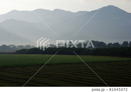 早朝の静寂な肝属川沿いの風景 81045072