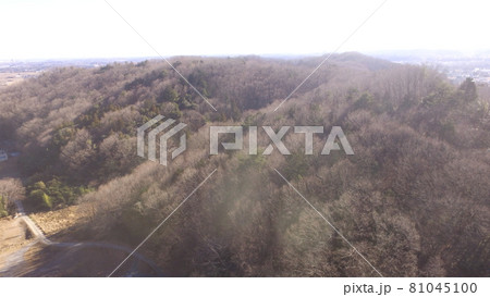 冬枯れの里山〜ドローンで撮影(埼玉県大里郡寄居町) 冬枯れの里山〜ドローンで撮影(埼玉県大里郡寄居町) 81045100