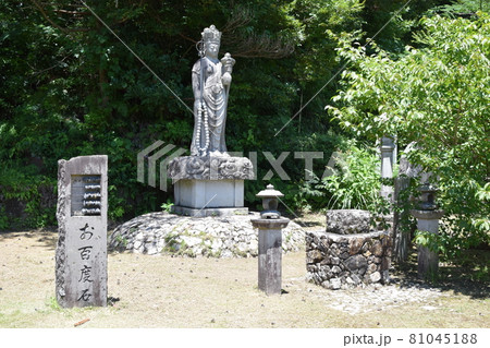 南泉院 南泉院 81045188