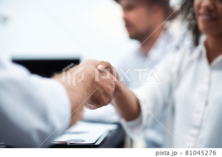 handshake of international business partners. close up. 81045276