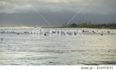 Surfer riding and turning with spray on blue ocean wave, surfing ocean lifestyle, extreme sports. Big waves with white foam in Hawaii. Pacific Ocean 81045835