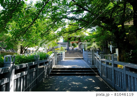 泉岳寺　赤穂義士の墓所に通じる参道 81046119