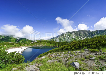 夏のみくりが池 81046207