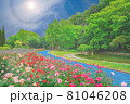 バラ園　太陽と日暈　徳島中央公園(徳島県徳島市)　イラスト 81046208
